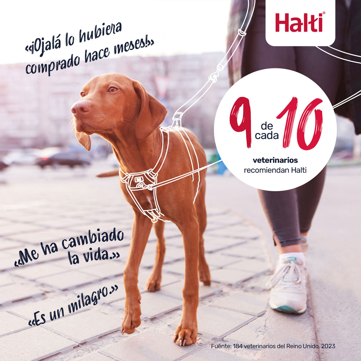 V2H41500D026F756954846F3C136A82B3BDR7523835P10