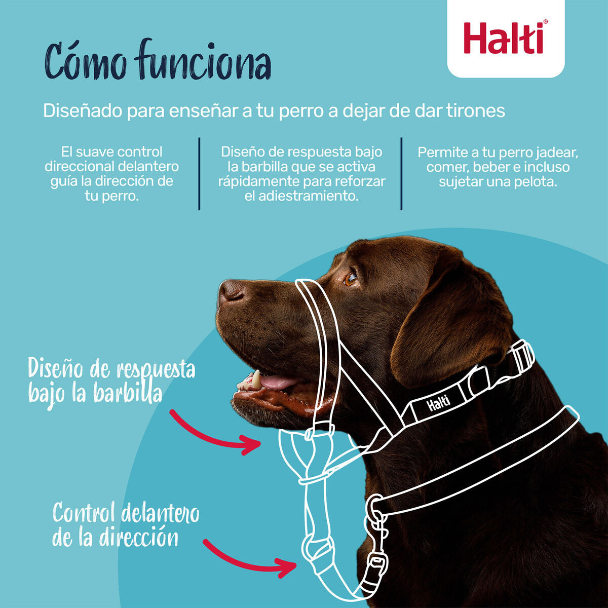 V2H4EFA5F26CA27A90A44E2C0AA1E2232E2R7523921P4