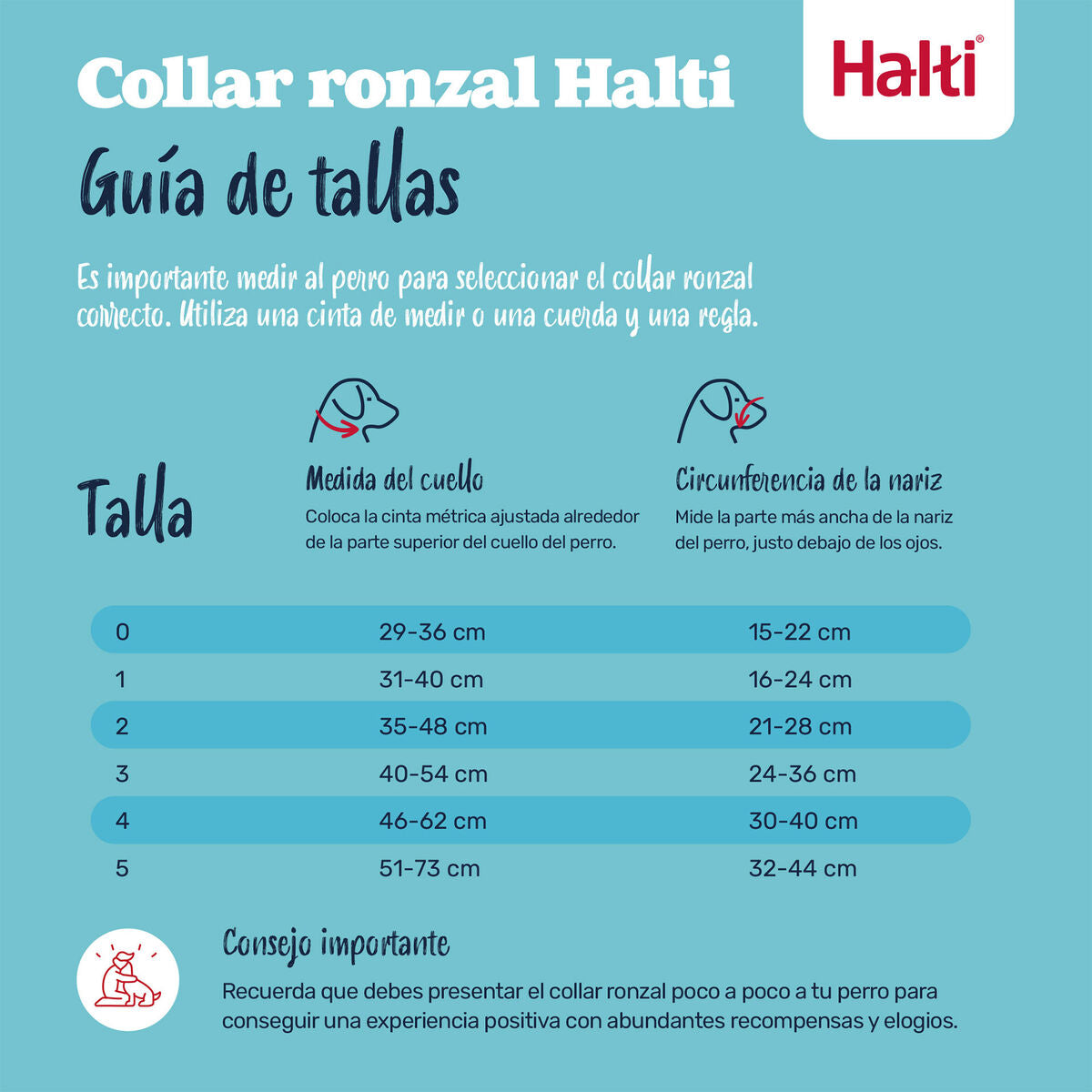 V2HBAB5F9A89B2BDE6550A263AEA61FE25AR7523892P6