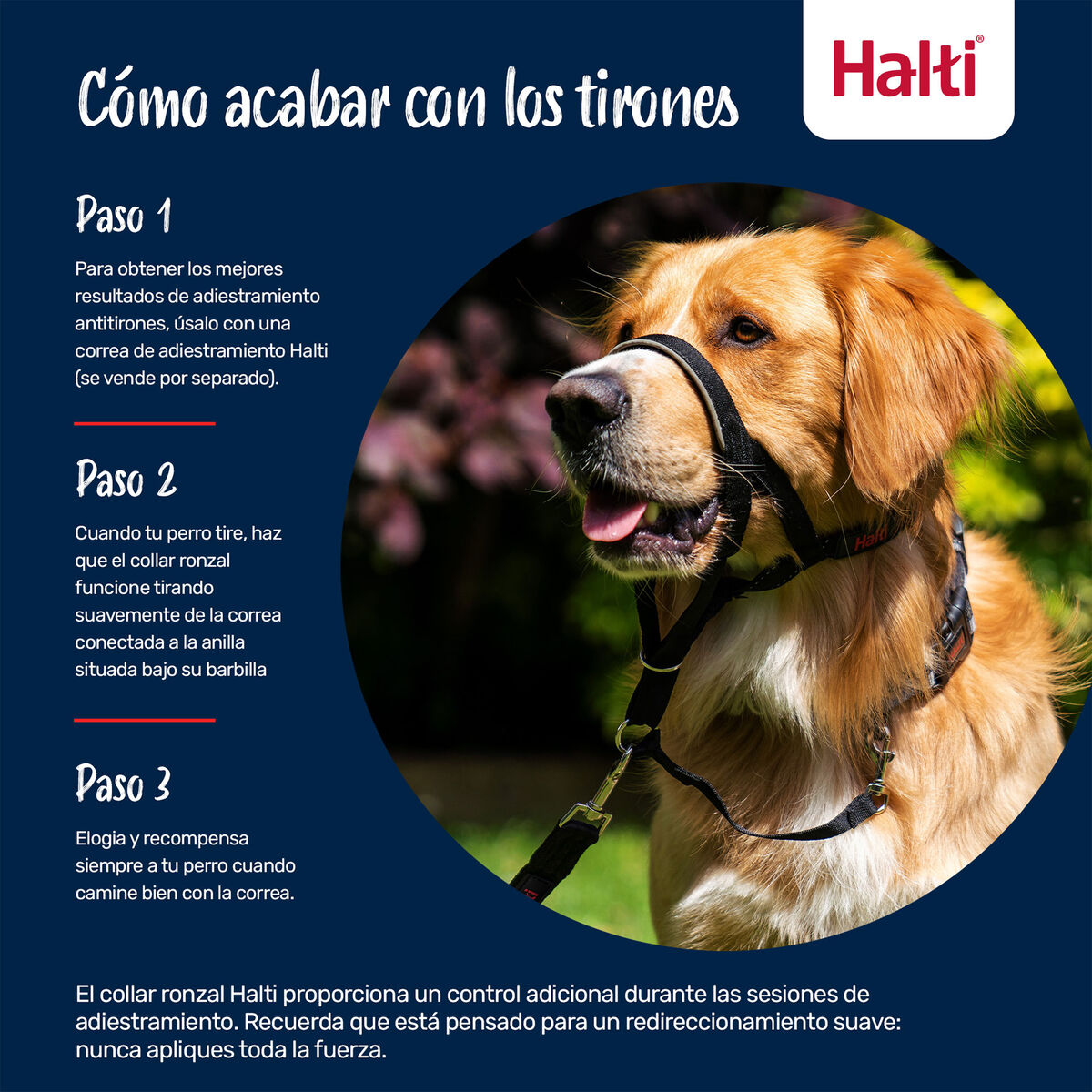 V2HBA278A0F9E4F499DE1EFF139C74B3766R7523894P7