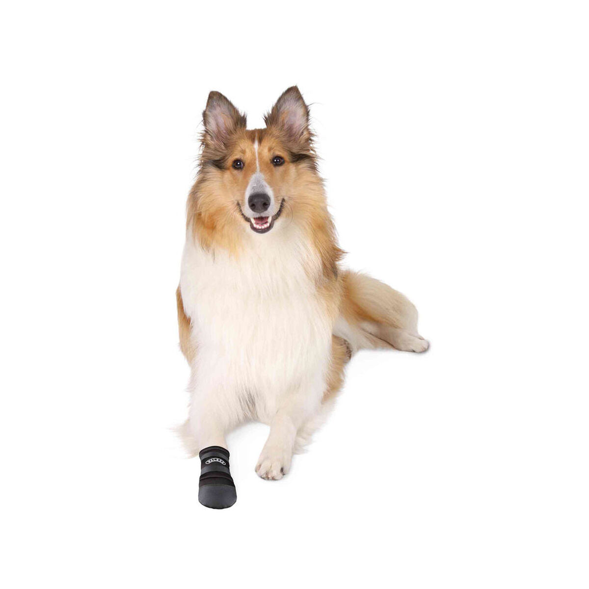 V3H483C68AA2EAFE890AF829DA1278CFA73R7441273P3