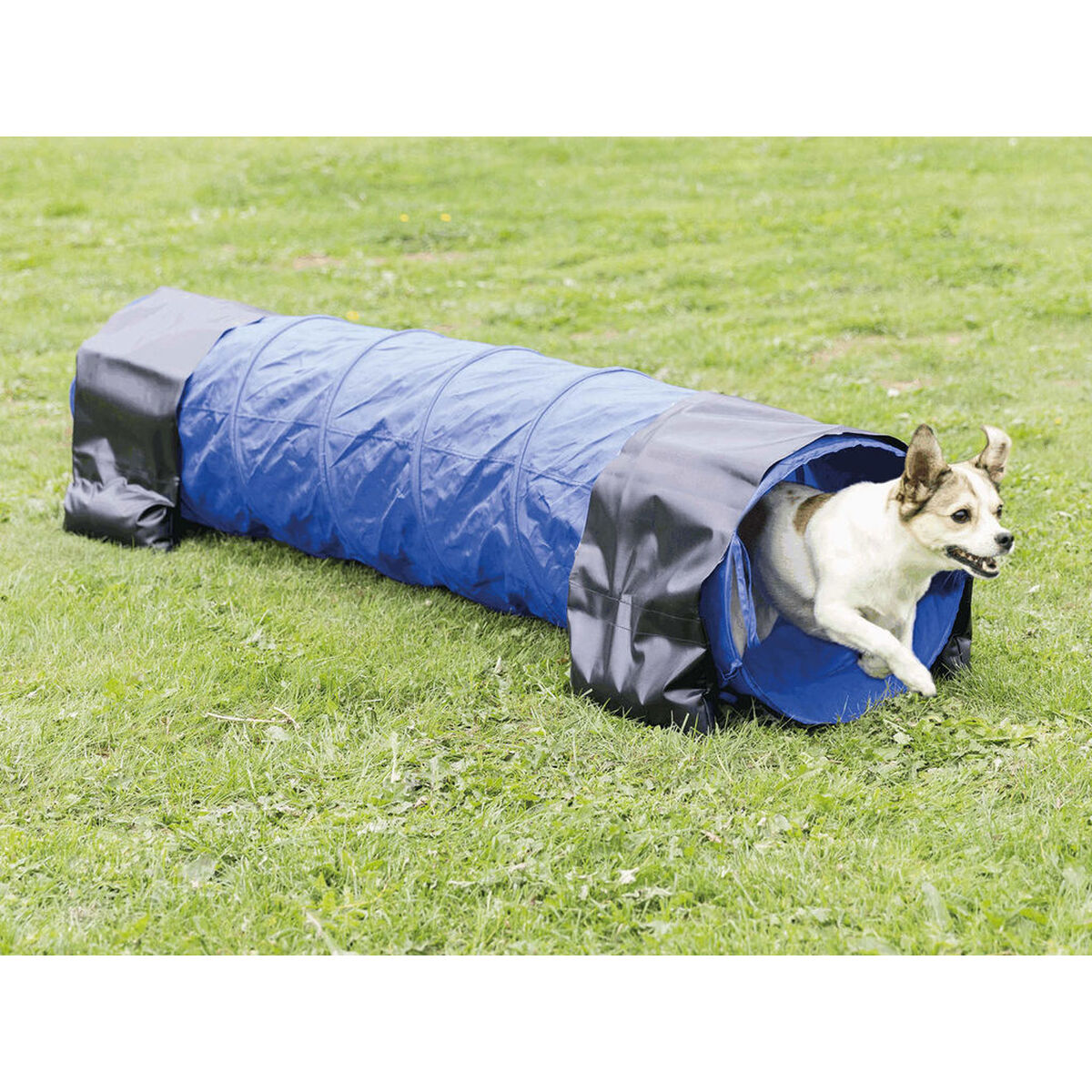 V6H41E2E5510CDA79DC801F76E955DFA152R7439844P2