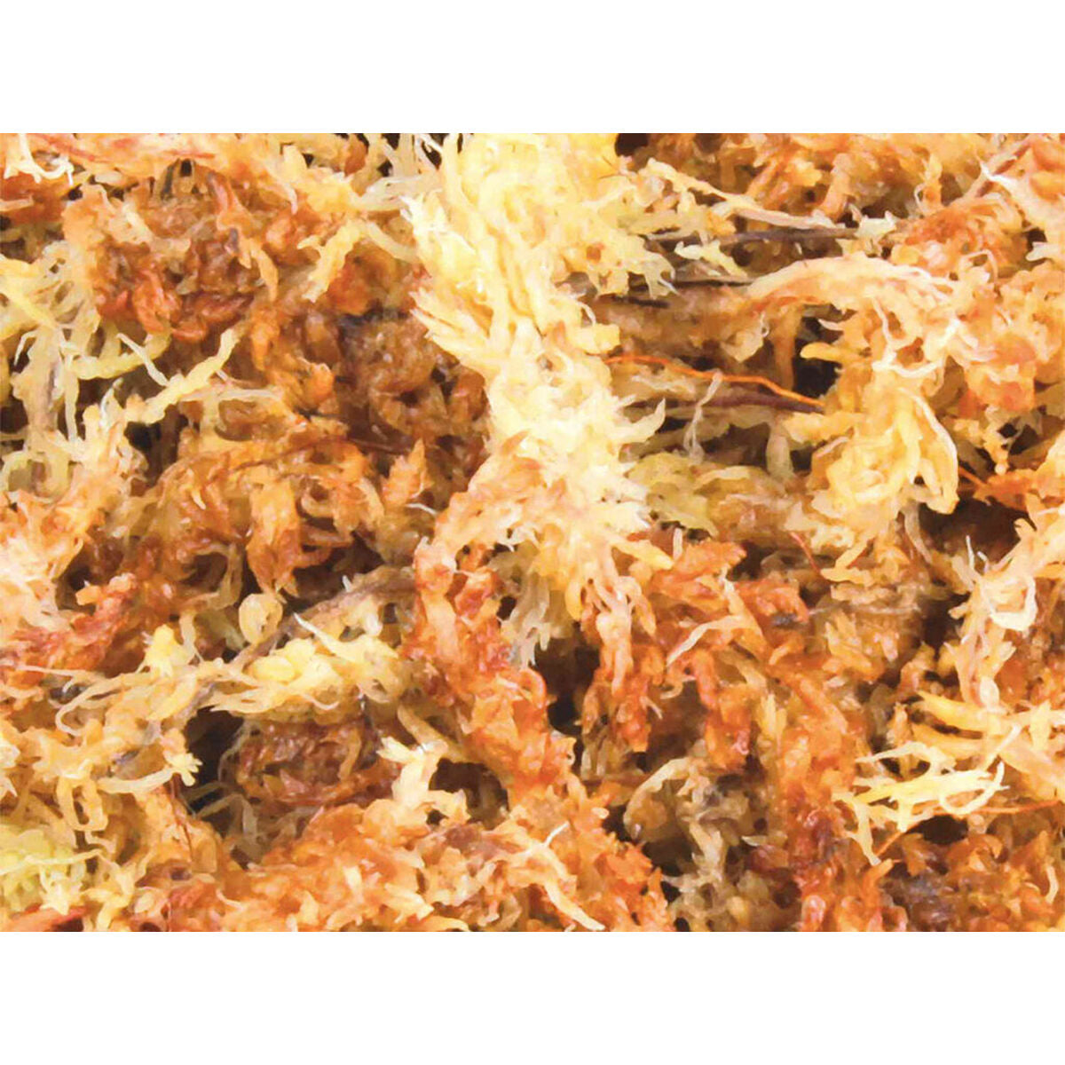 V4HCC3ACC4B7B736CC267644E25706B97B1R7446455P3