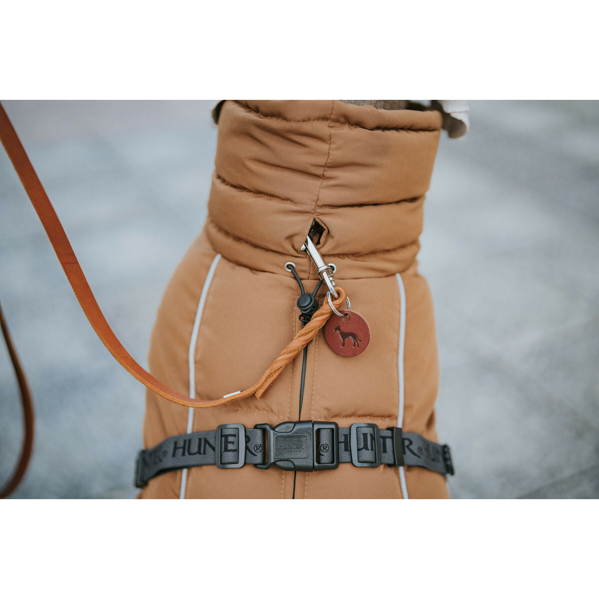 V3H72B2F9DDDD763C6D9807DDDA63270CFBR5575899P7