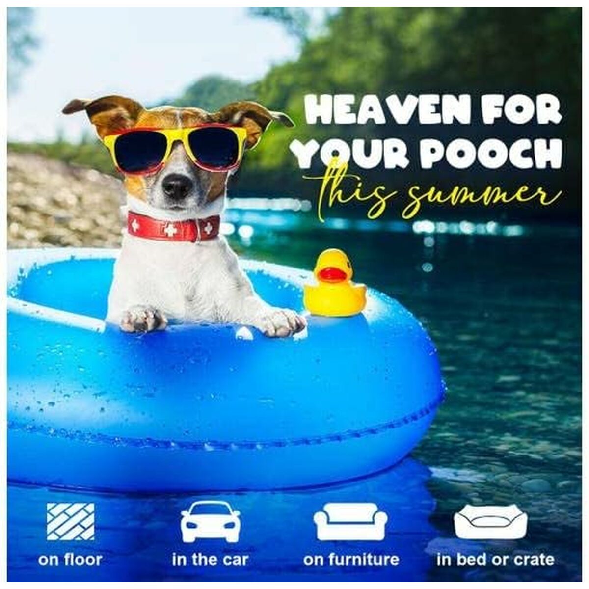 V4HA261F51353E1F26E8116FC0EF82D0EA9R7376885P8